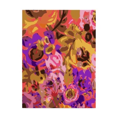Karen Fields 'Warm Abstract Floral I' Canvas Art,35x47